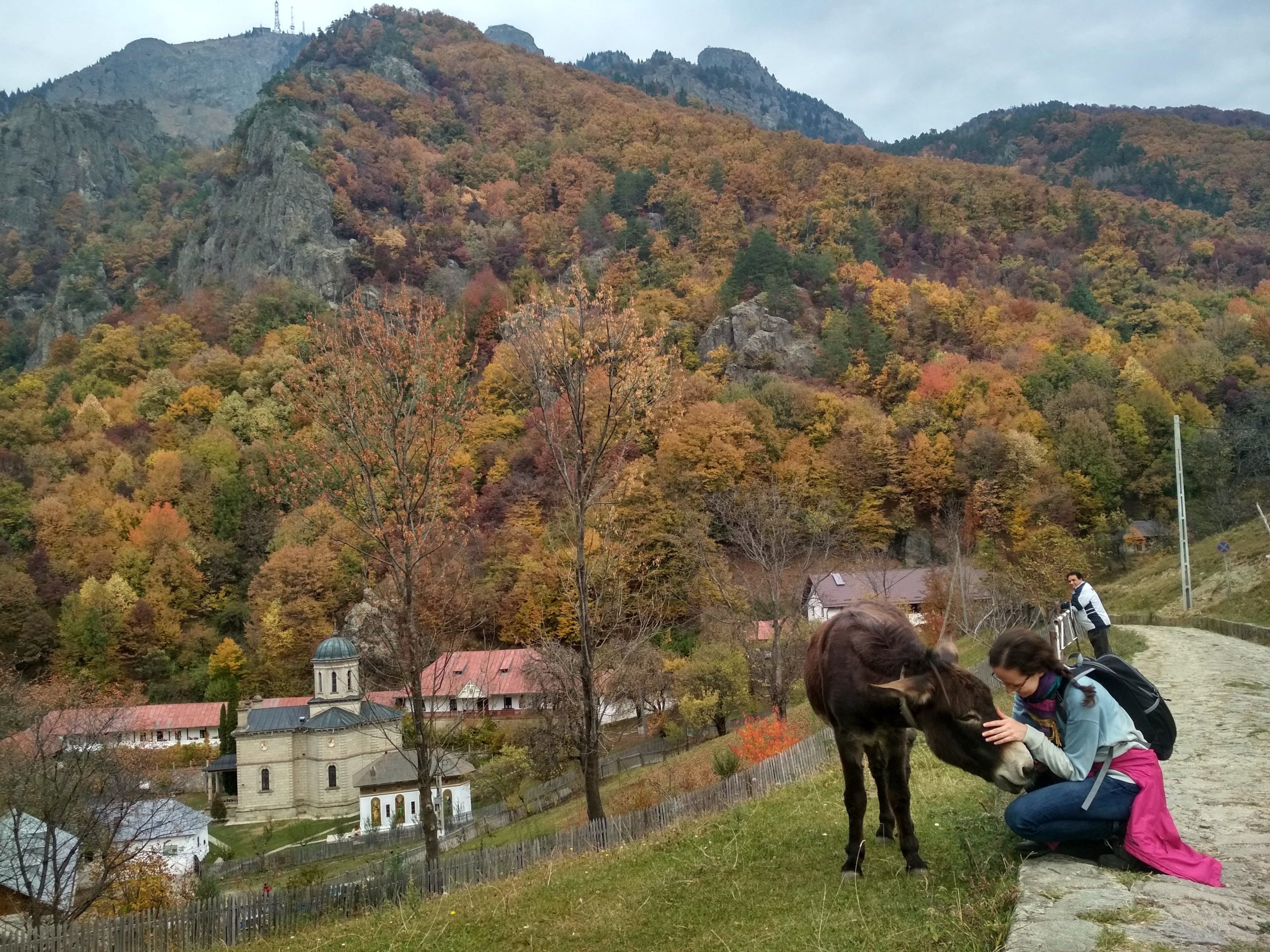IMG_20181019_124546_HDR
